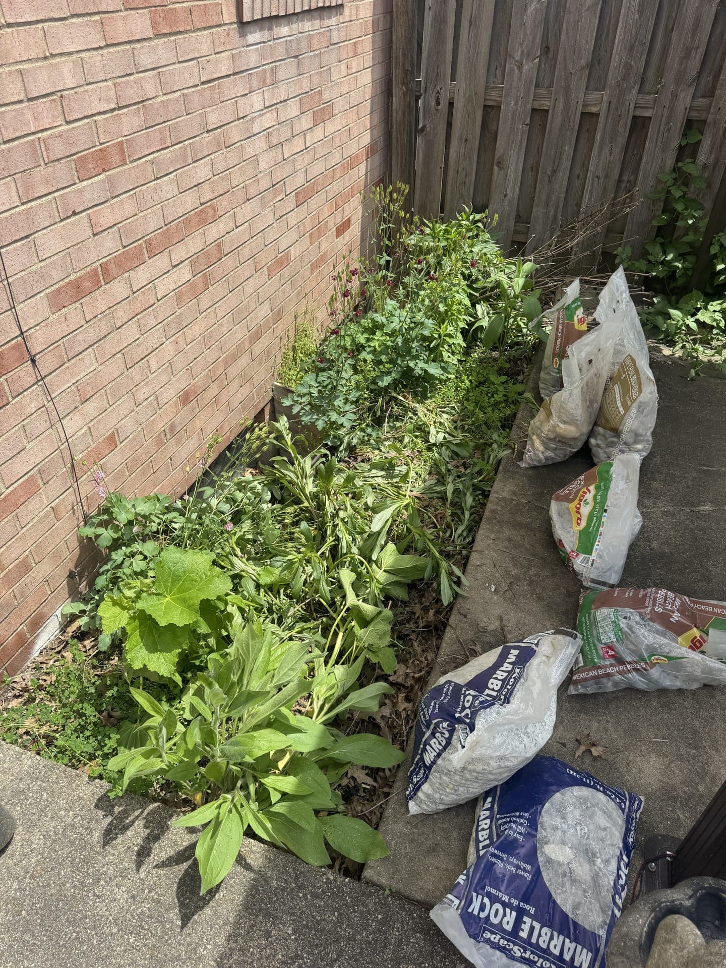 Messy rock bed before landscaping