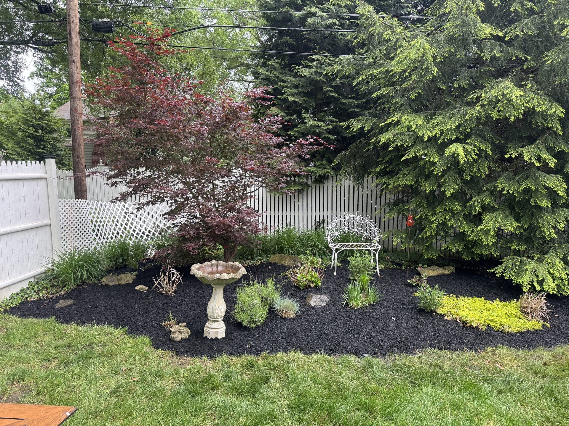 Weeded garden bed with clean edges after landscaping cleanup