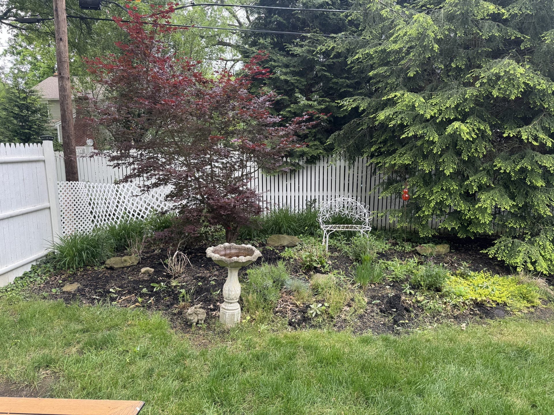 Overgrown garden bed with weeds before landscaping cleanup