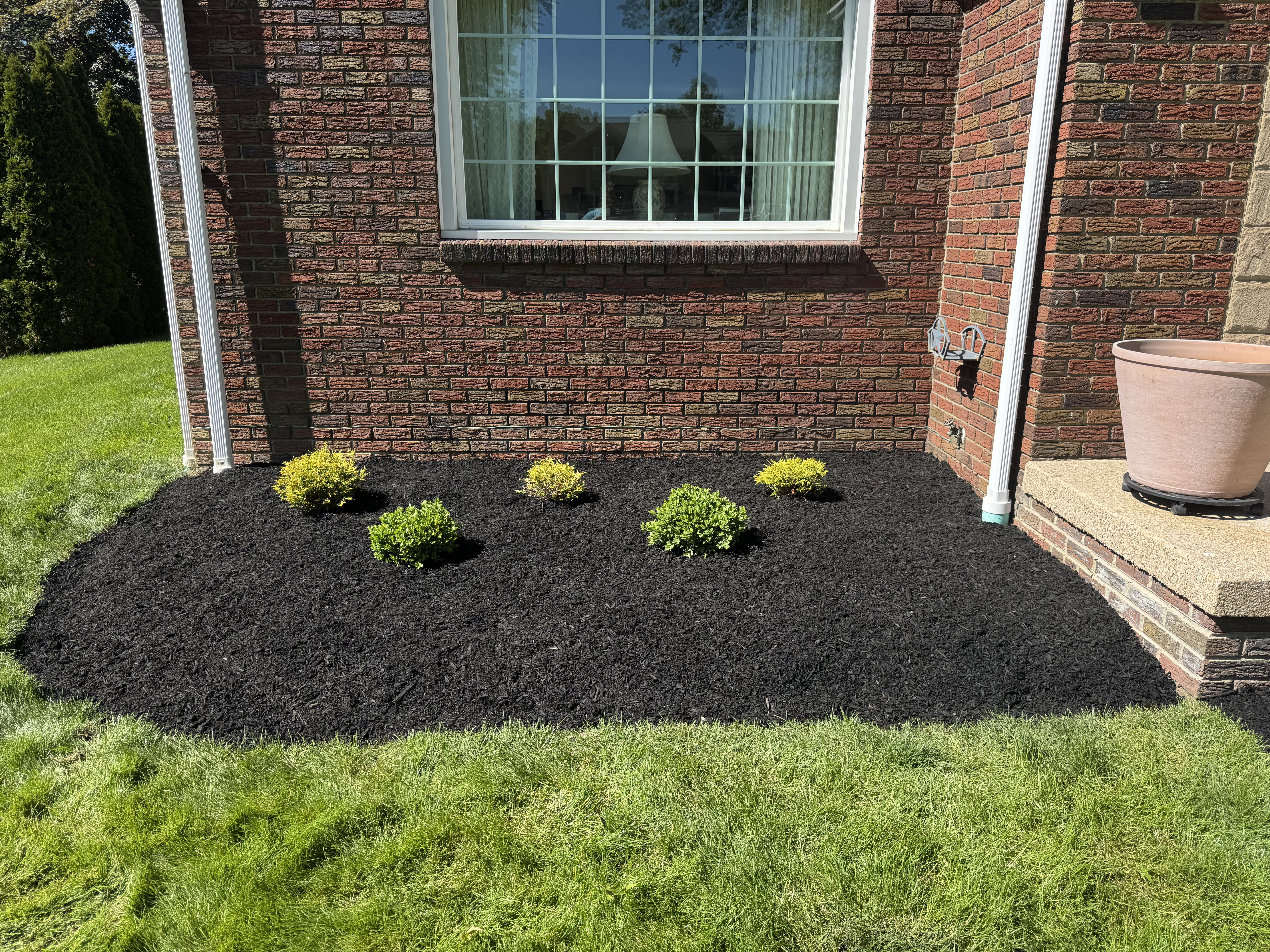 Fresh mulch around trees after refresh