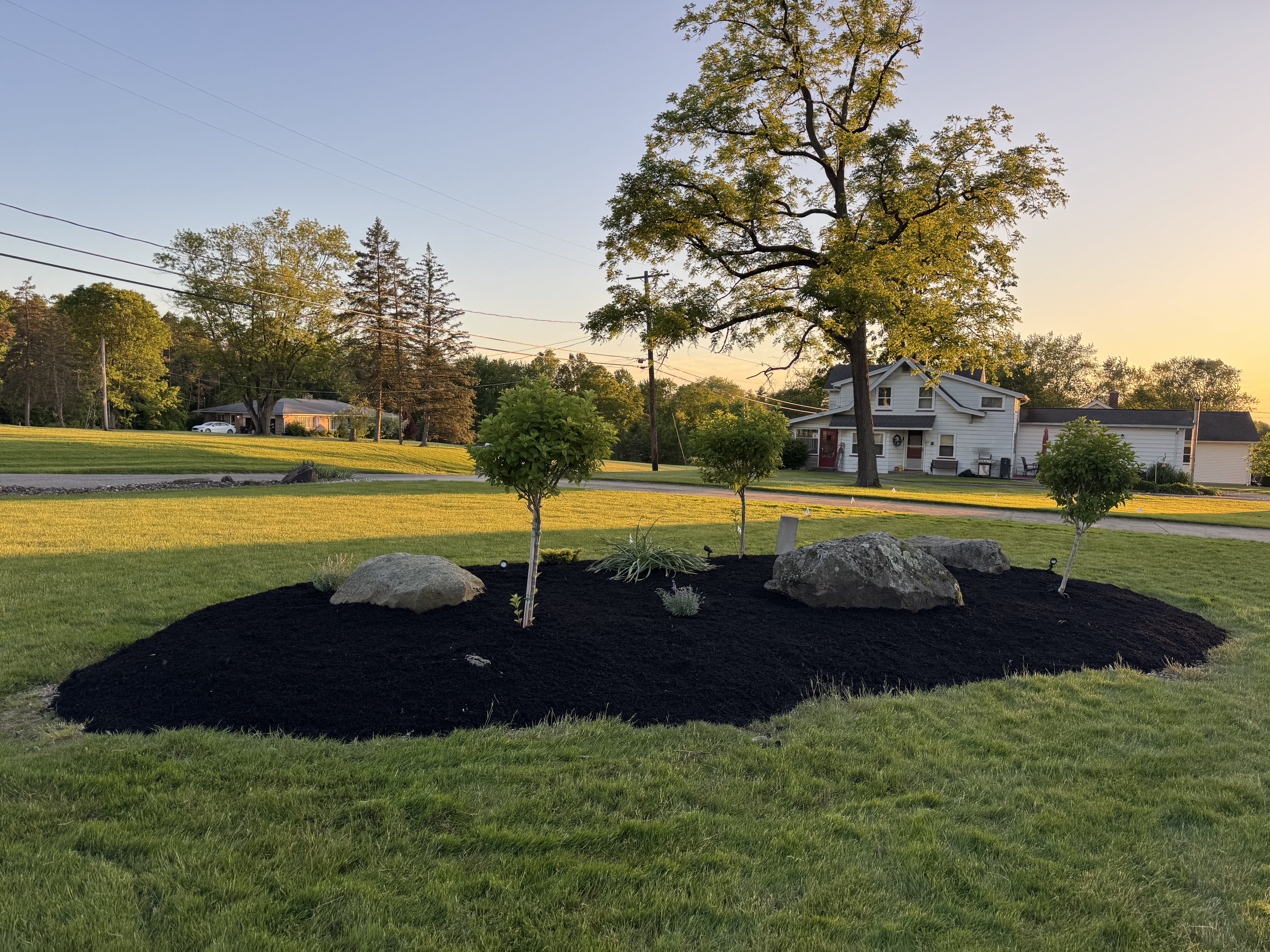 Side yard beds after mulch refresh