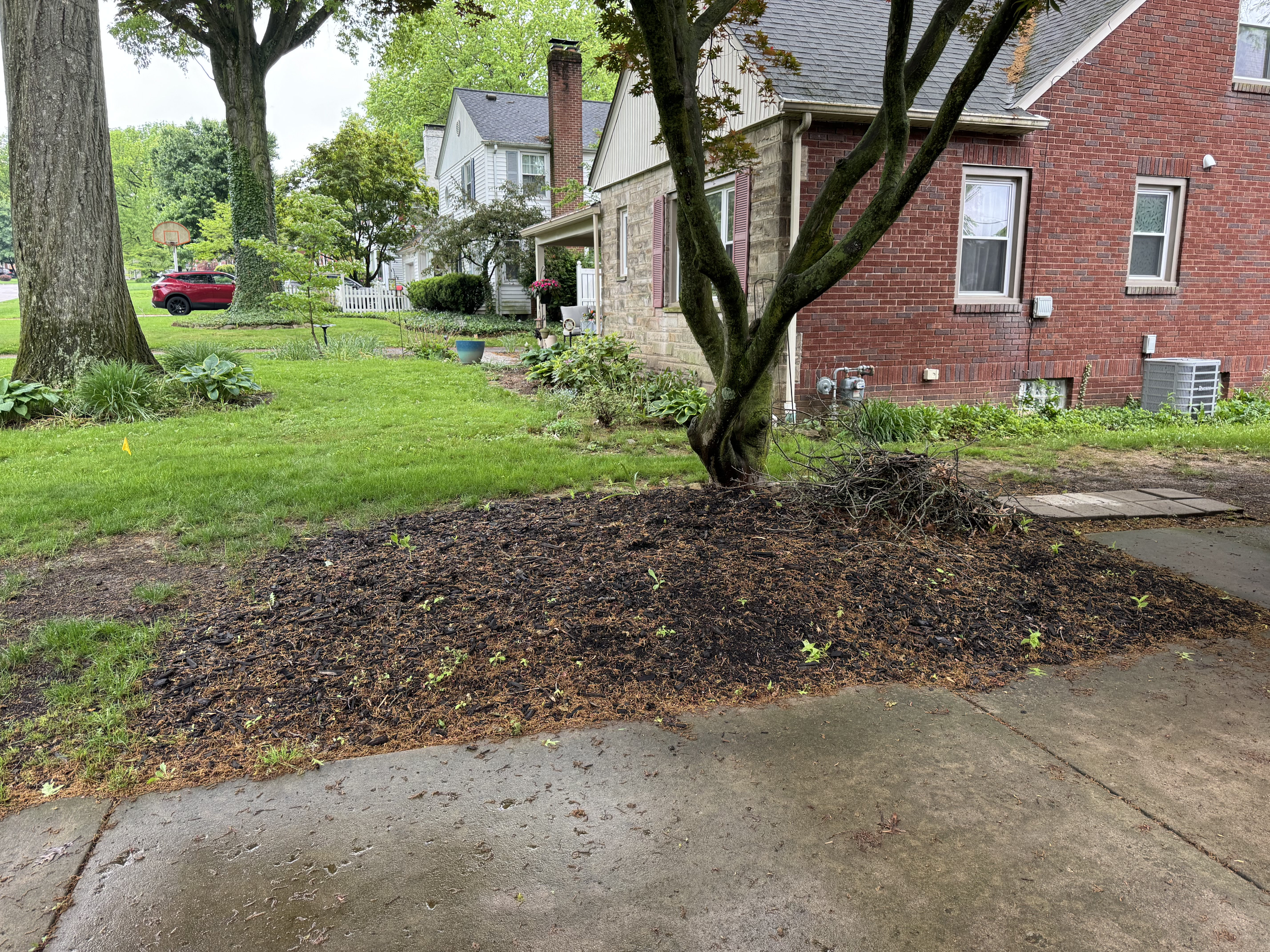 Dull landscape beds before mulch installation