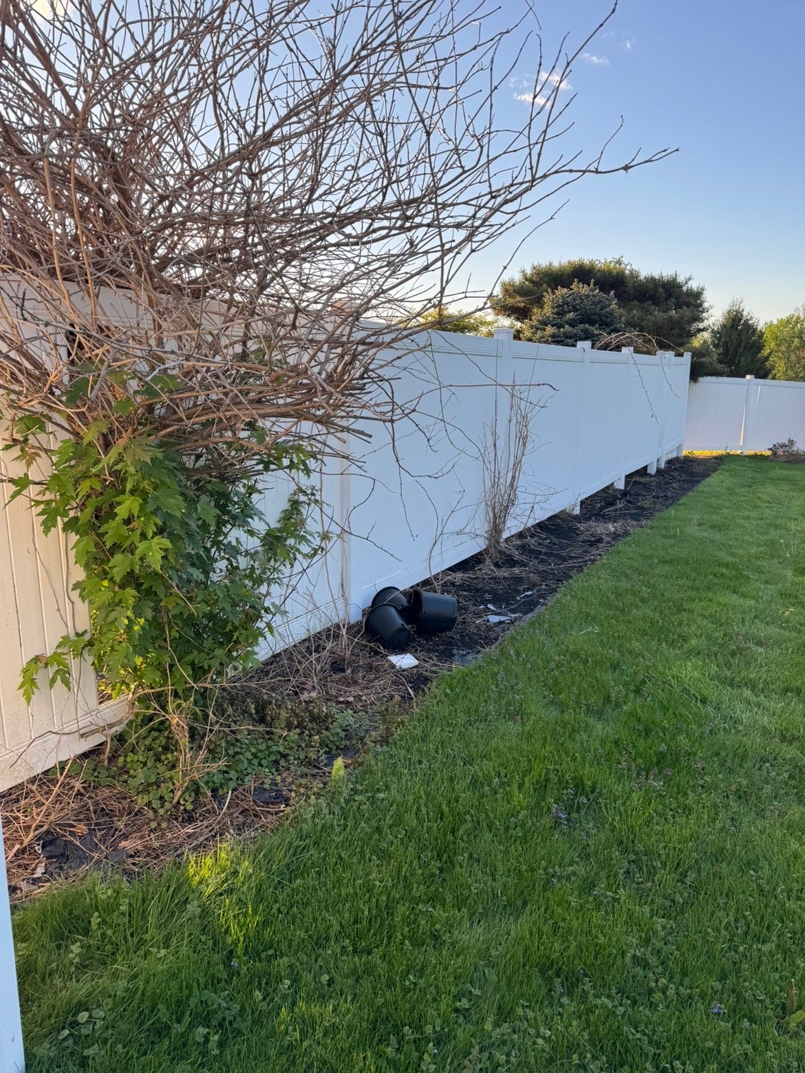 Large bed area before mulch installation