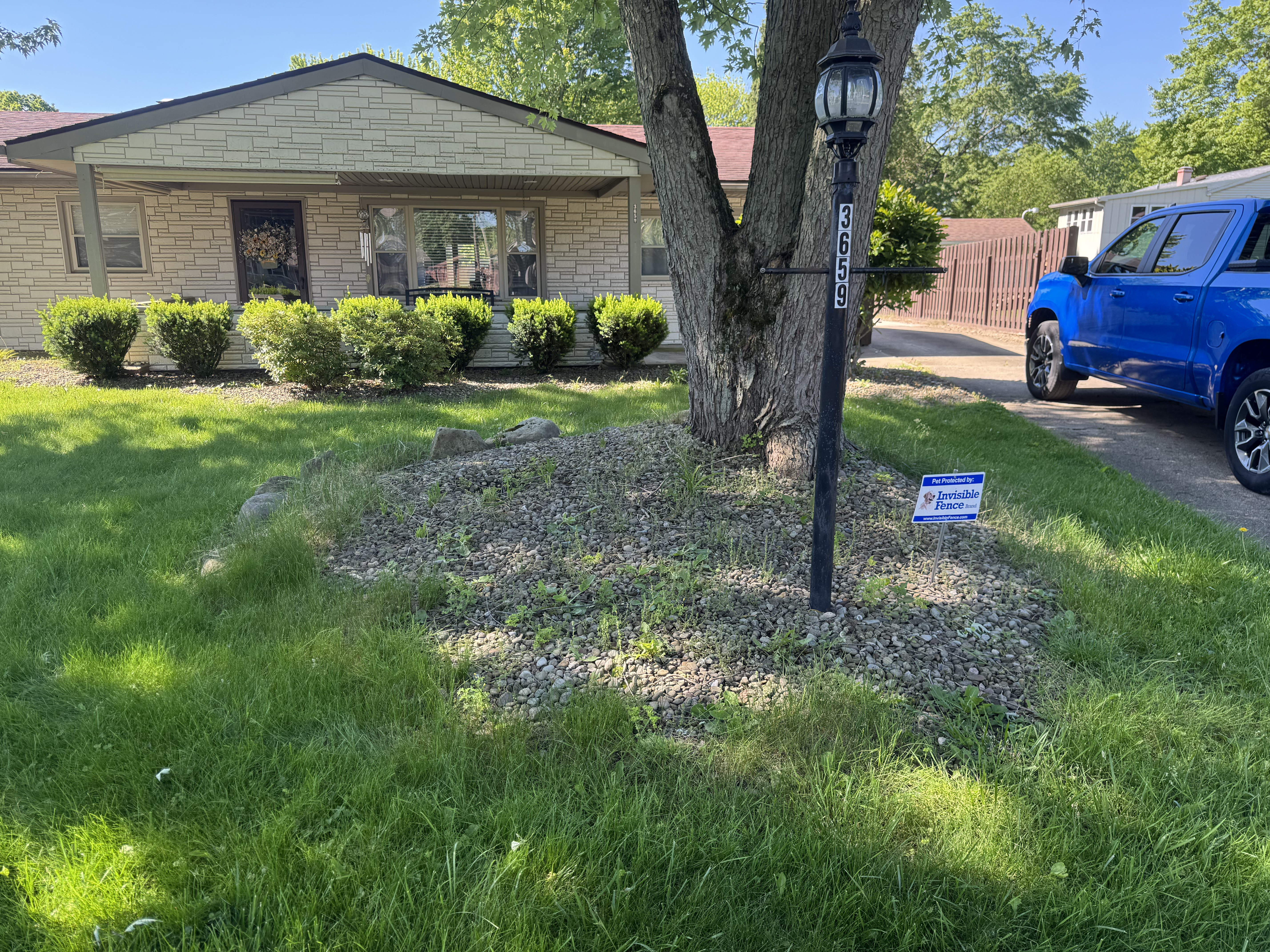 Stone landscape bed before cleanup