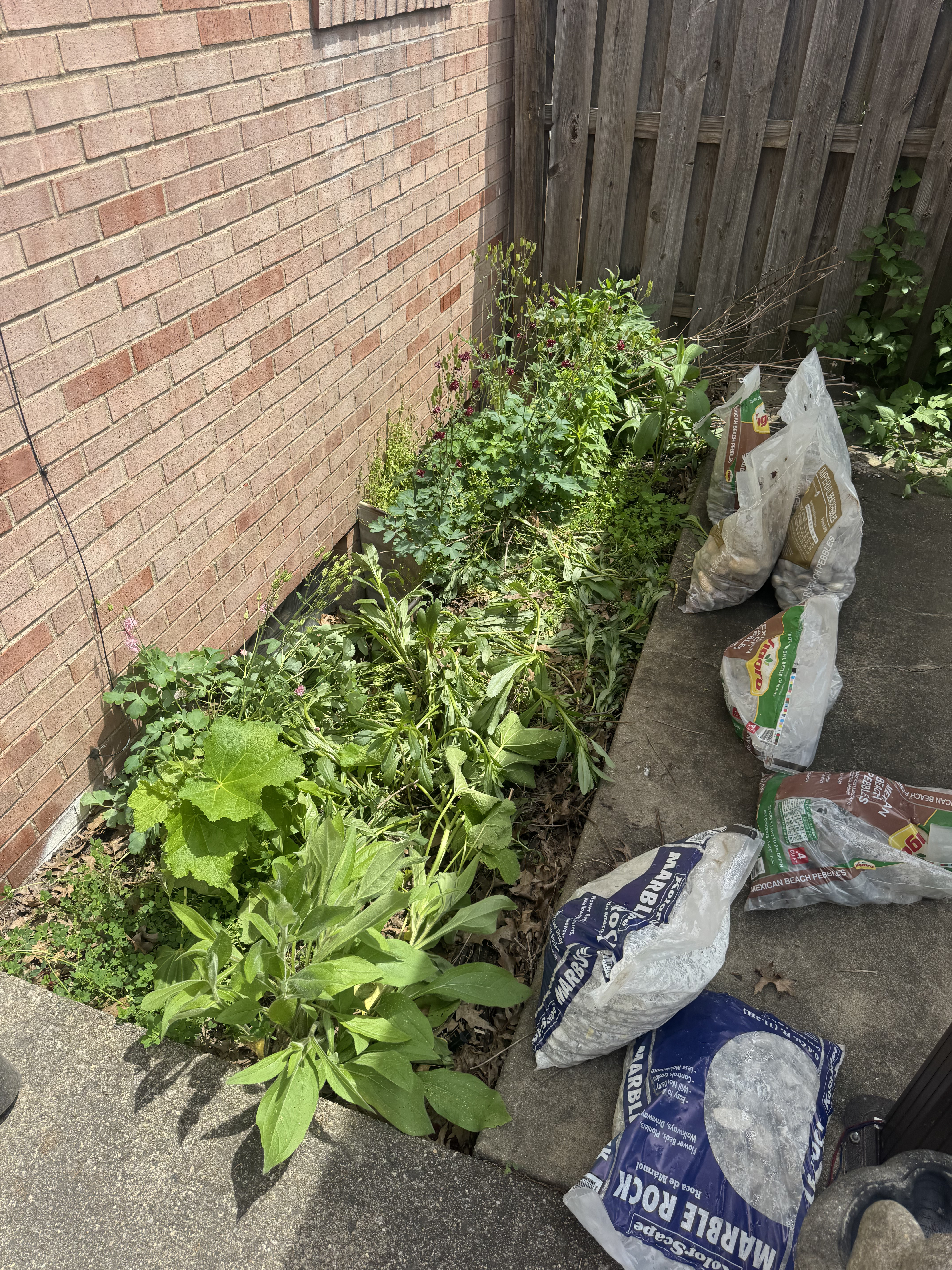 Messy rock bed before landscaping