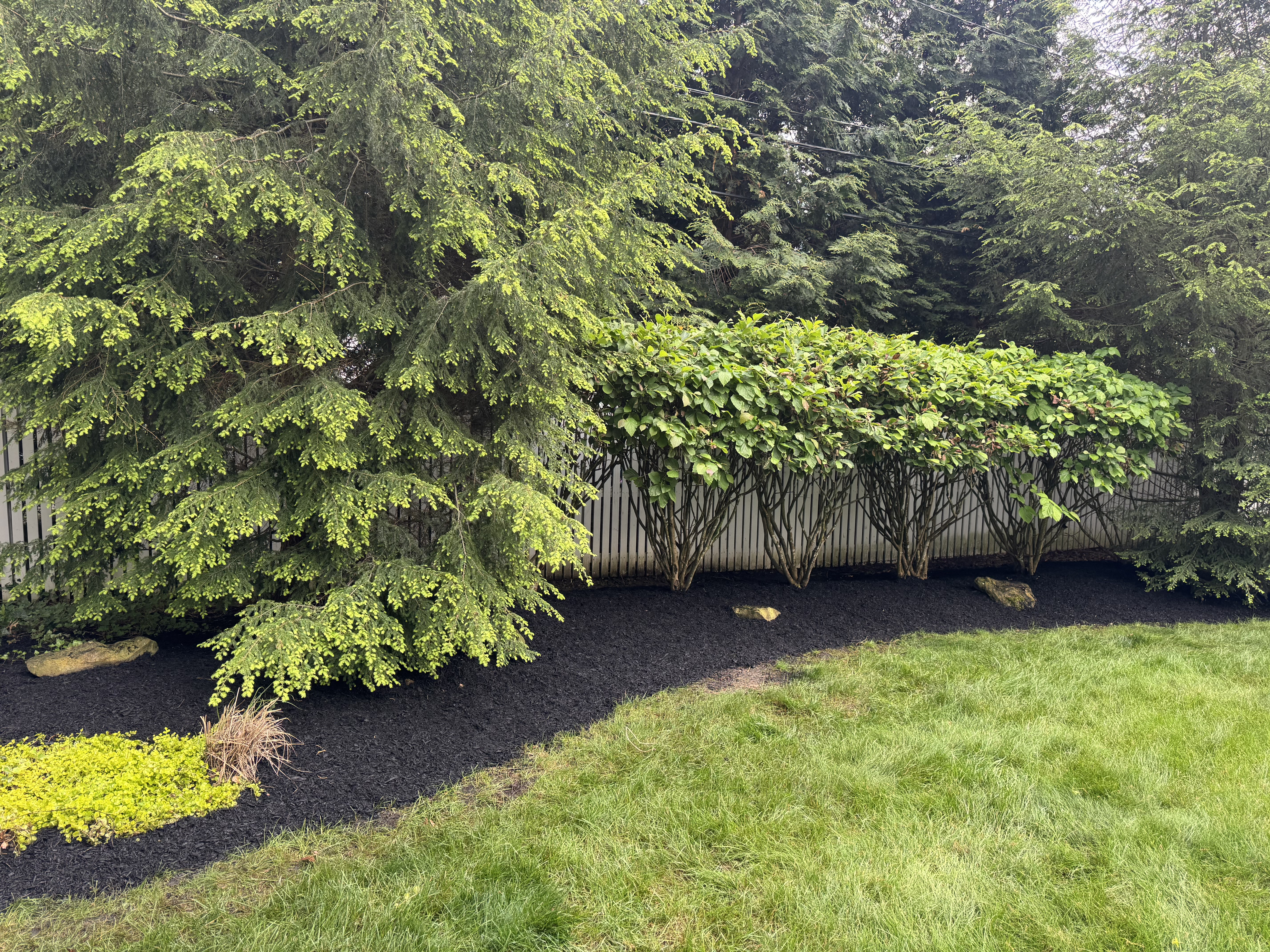 Clean flower bed after professional weeding