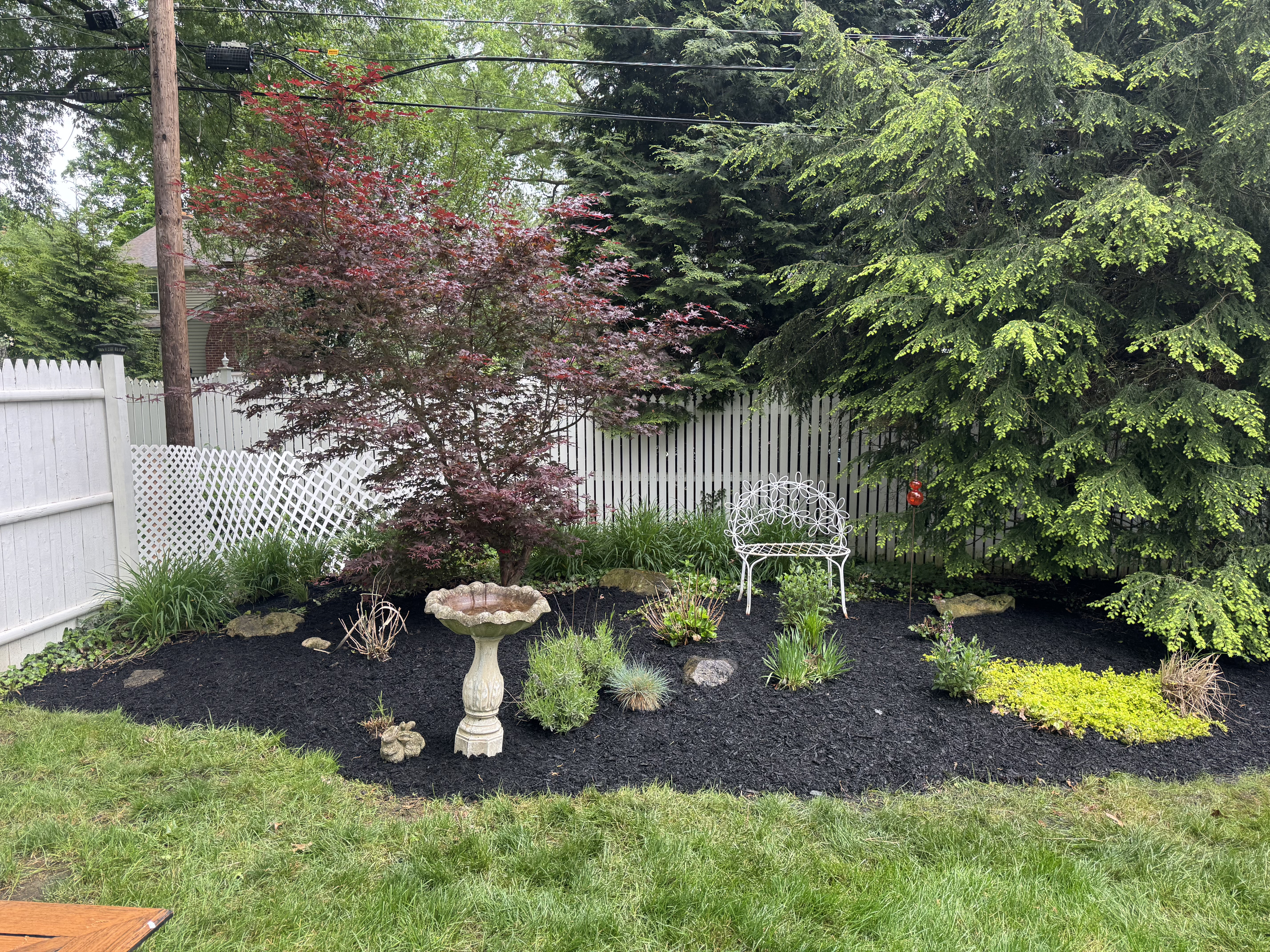 Weeded garden bed with clean edges after landscaping cleanup