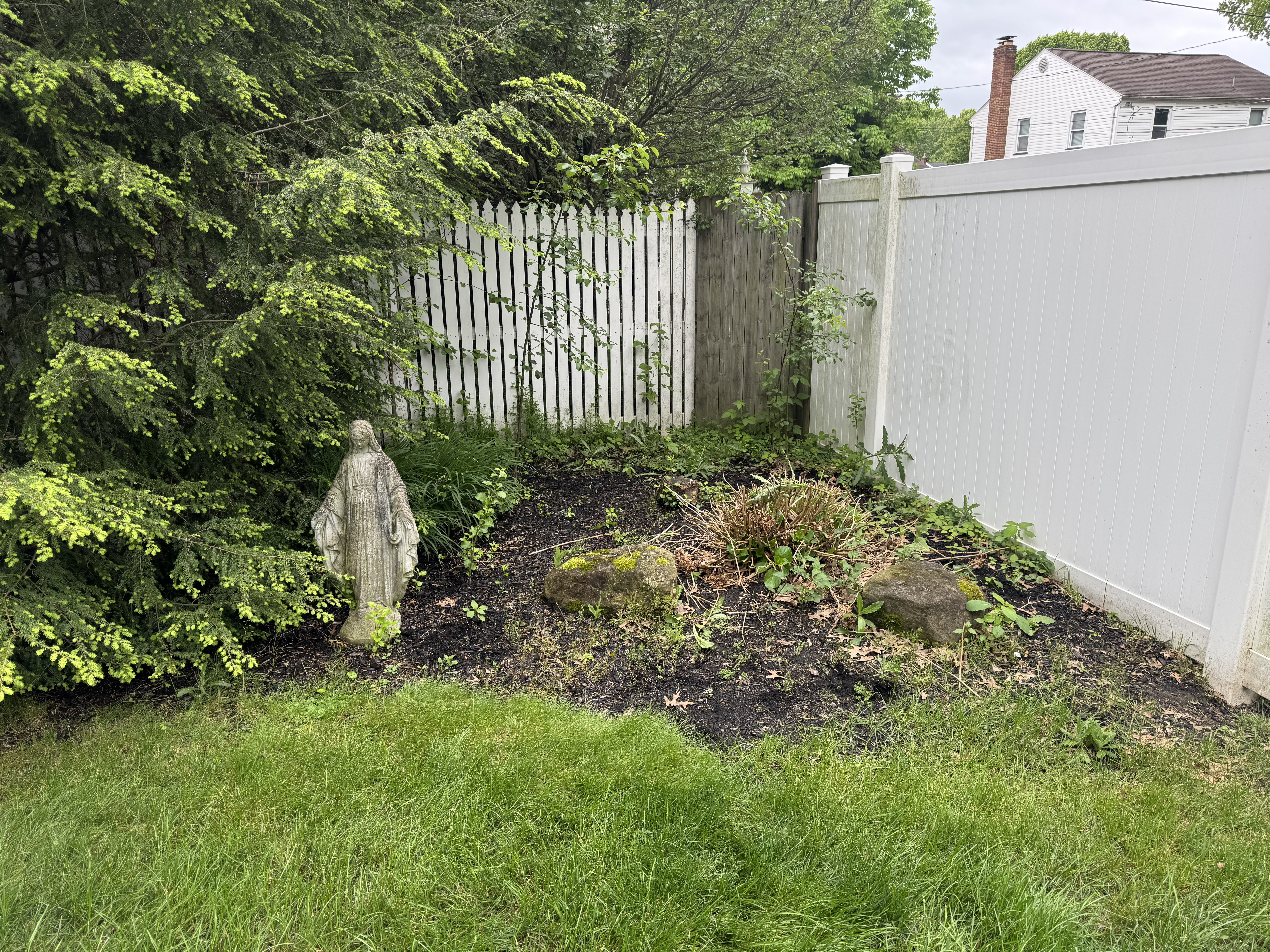 Weedy landscape bed before Porter Property Brothers cleanup